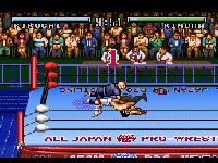 Zen Nihon Pro Wrestling sur Nintendo Super Nes